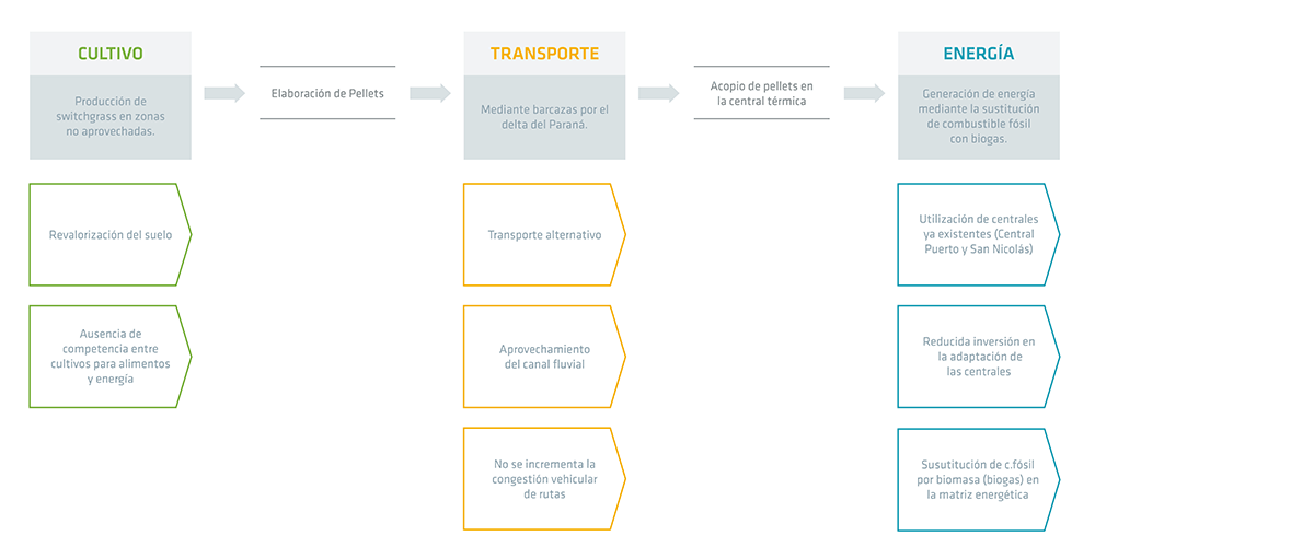 Esquema ilustrativo de los aspectos a considerar para definir la factibilidad del proyecto